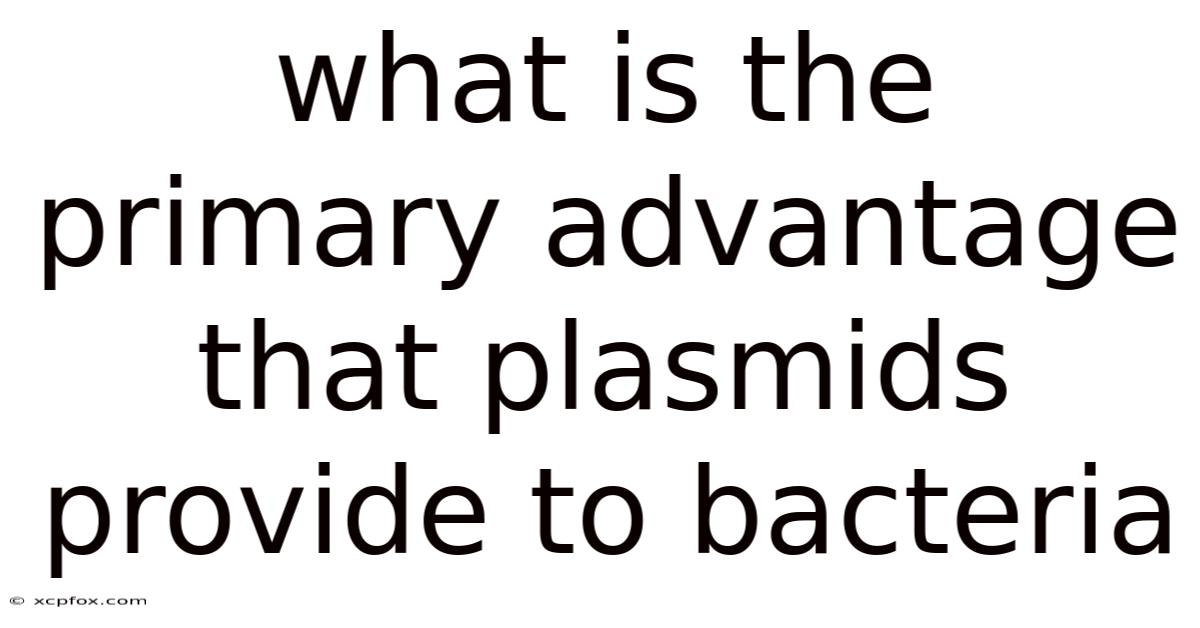 What Is The Primary Advantage That Plasmids Provide To Bacteria