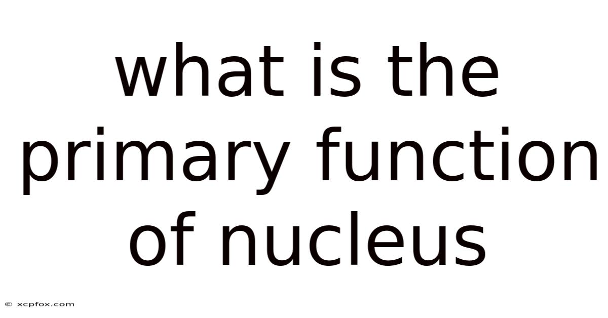 What Is The Primary Function Of Nucleus