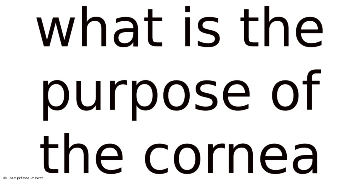 What Is The Purpose Of The Cornea