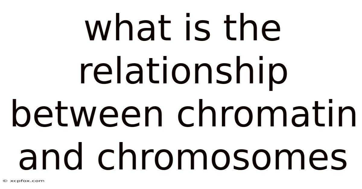 What Is The Relationship Between Chromatin And Chromosomes