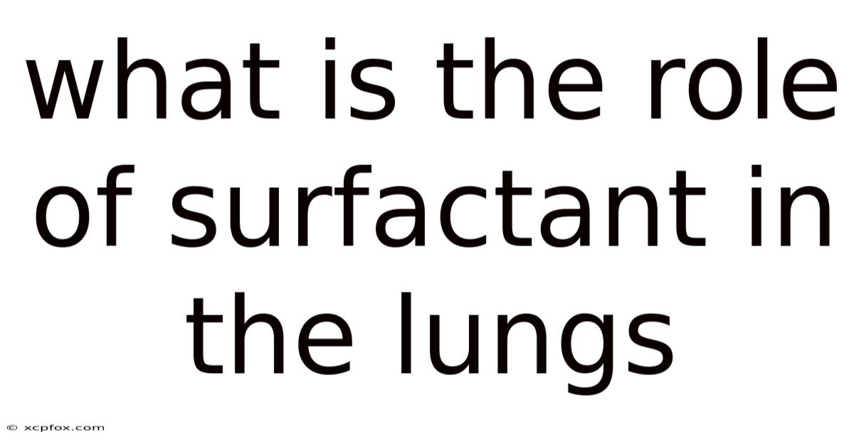 What Is The Role Of Surfactant In The Lungs
