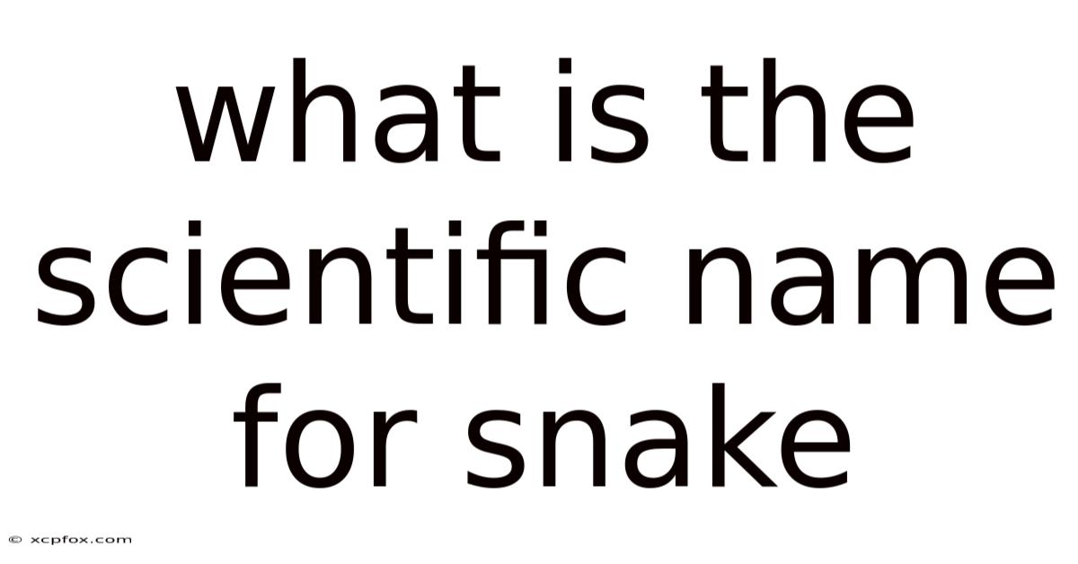 What Is The Scientific Name For Snake