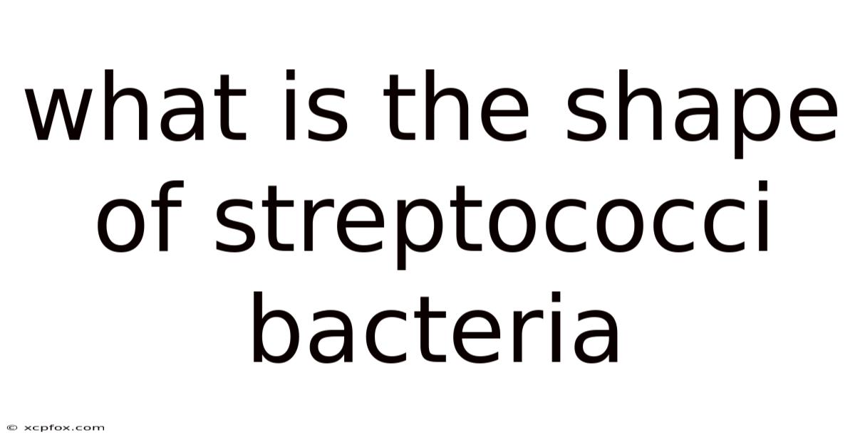 What Is The Shape Of Streptococci Bacteria