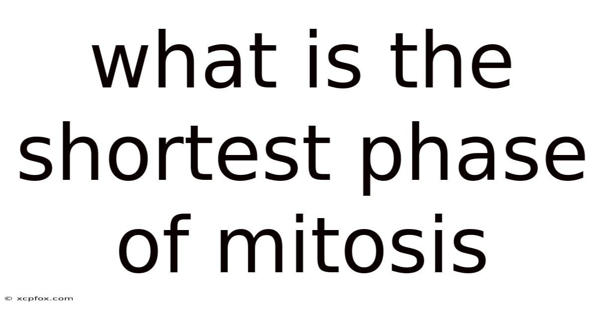 What Is The Shortest Phase Of Mitosis