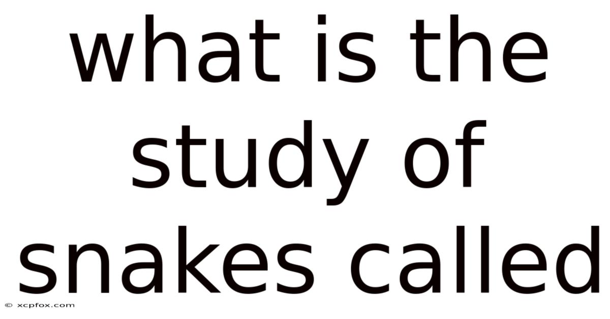 What Is The Study Of Snakes Called