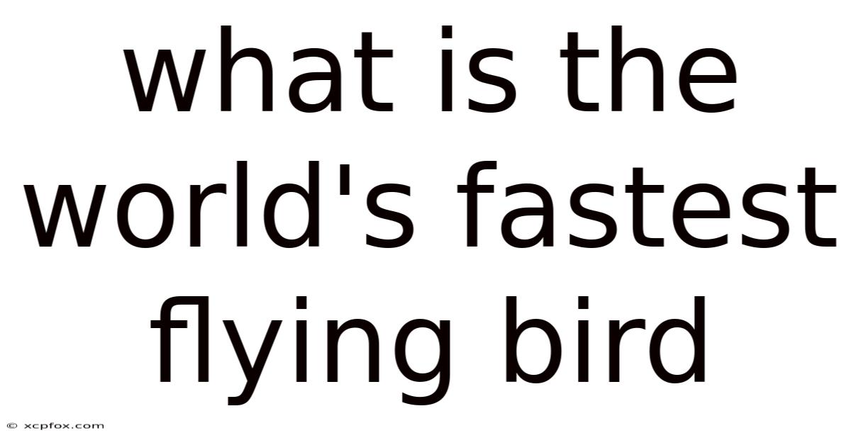 What Is The World's Fastest Flying Bird