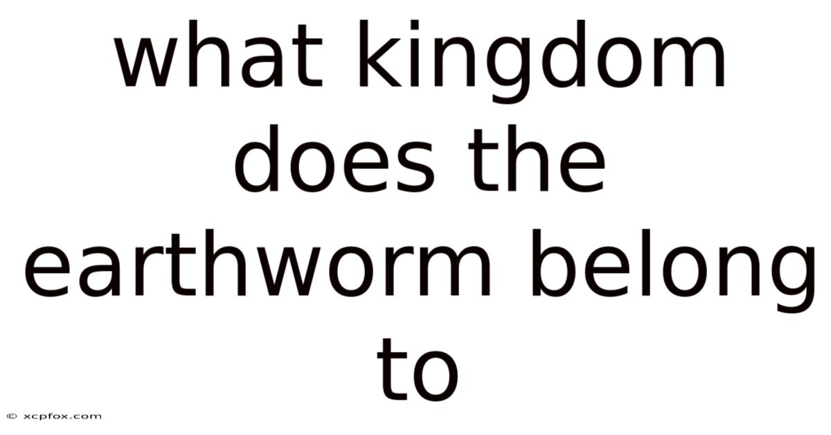What Kingdom Does The Earthworm Belong To