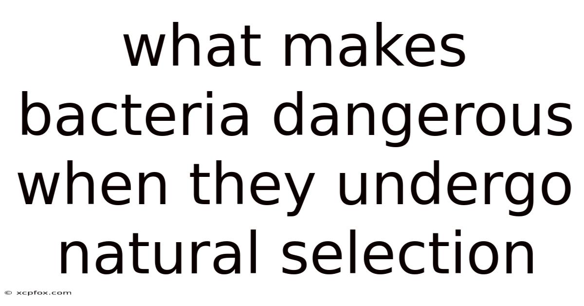 What Makes Bacteria Dangerous When They Undergo Natural Selection
