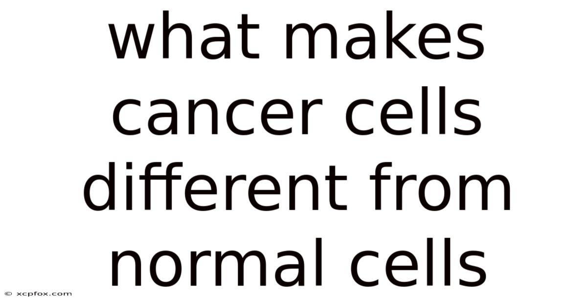 What Makes Cancer Cells Different From Normal Cells