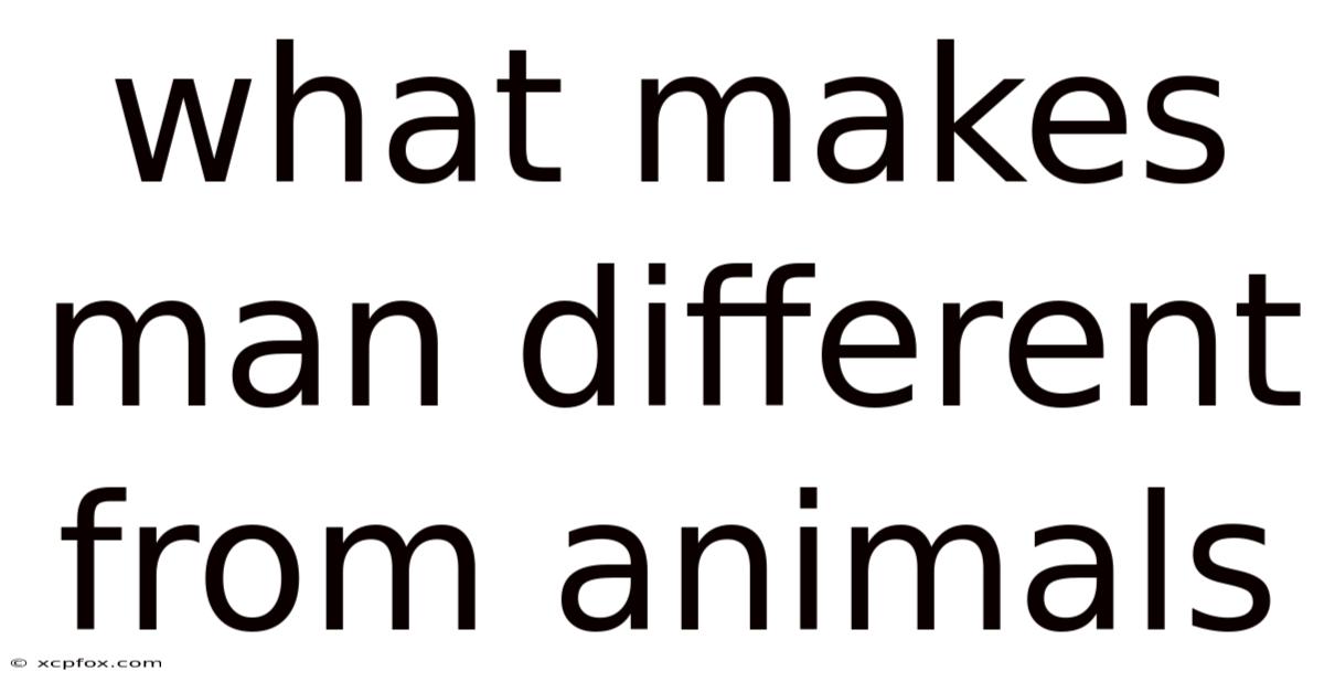 What Makes Man Different From Animals