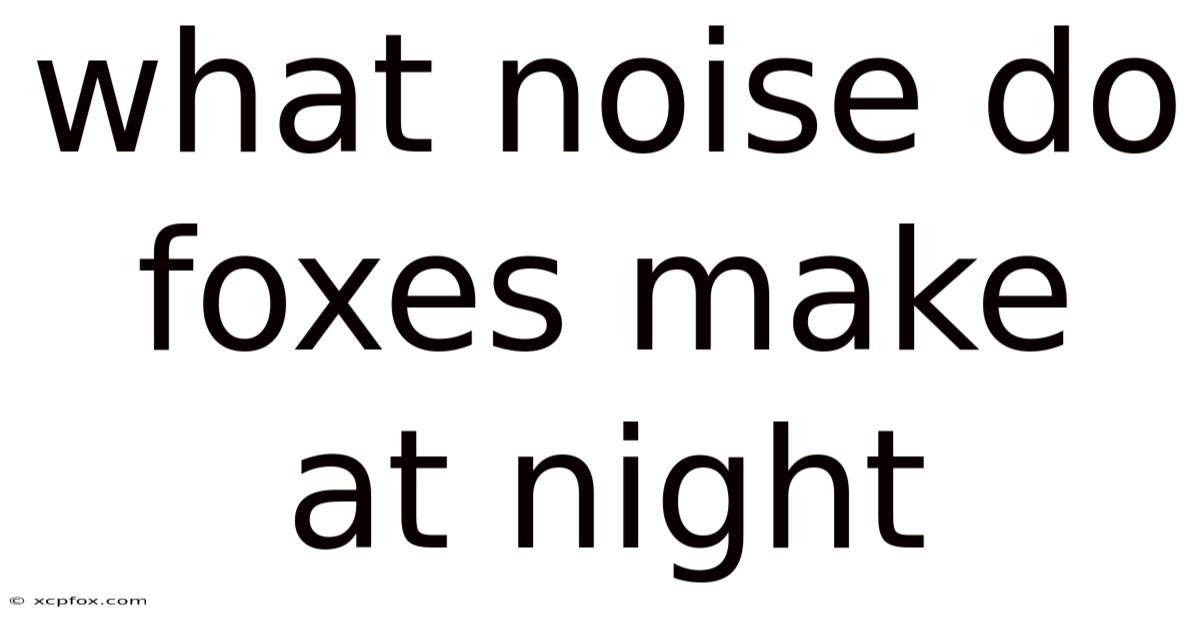What Noise Do Foxes Make At Night
