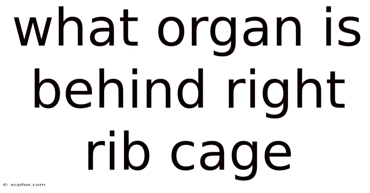 What Organ Is Behind Right Rib Cage