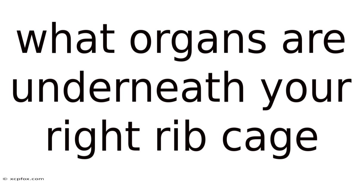 What Organs Are Underneath Your Right Rib Cage