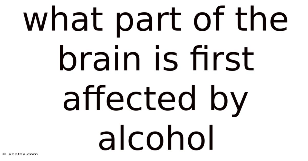 What Part Of The Brain Is First Affected By Alcohol