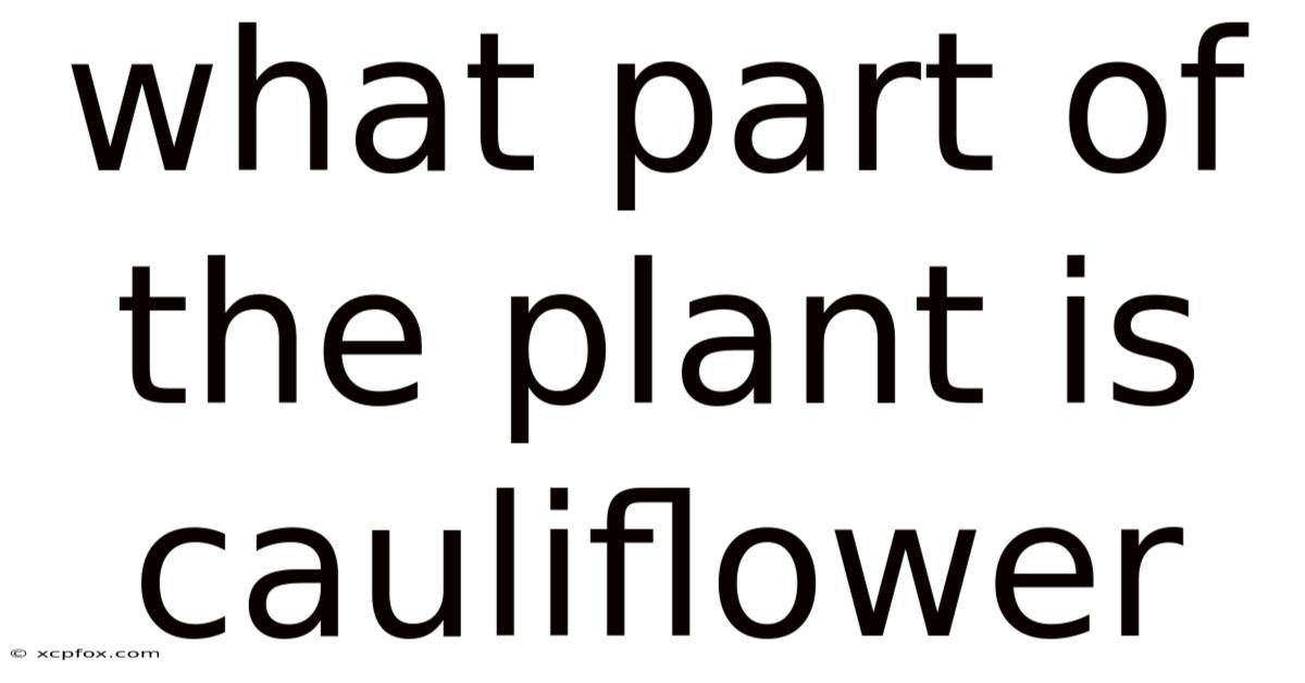 What Part Of The Plant Is Cauliflower