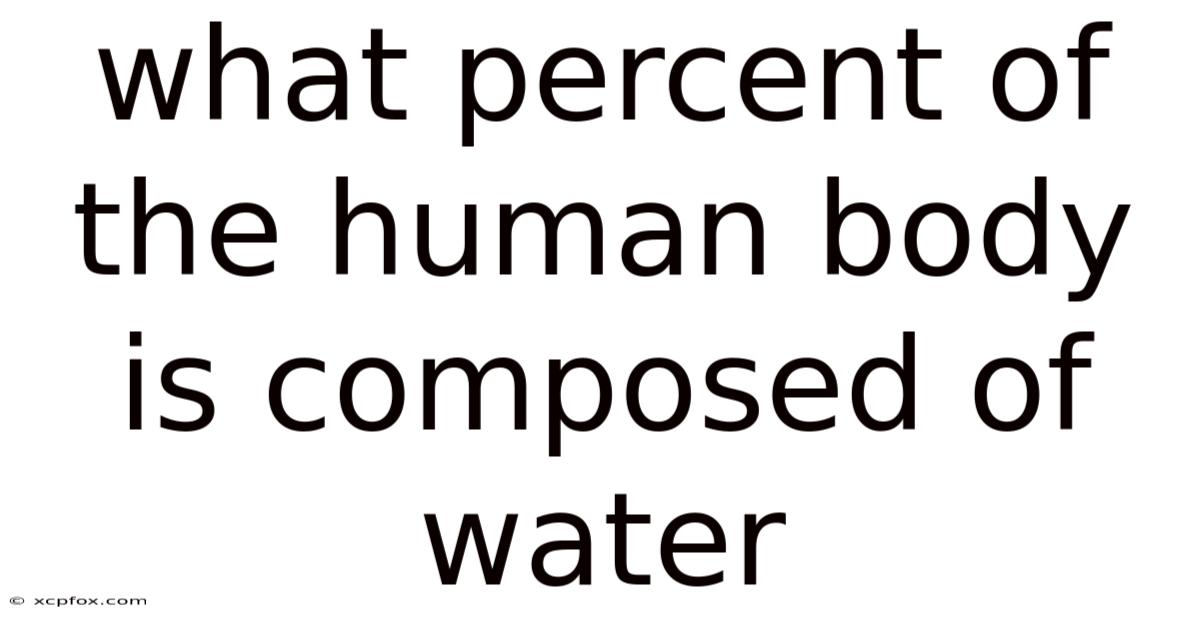 What Percent Of The Human Body Is Composed Of Water