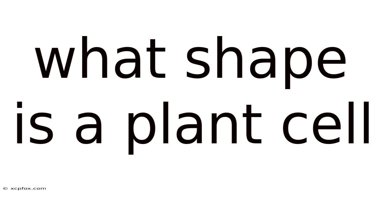 What Shape Is A Plant Cell