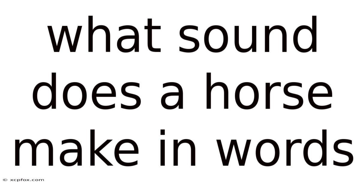 What Sound Does A Horse Make In Words