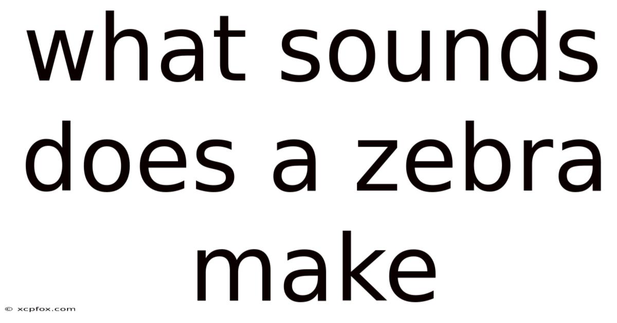 What Sounds Does A Zebra Make