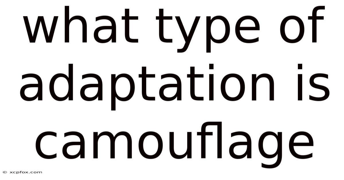 What Type Of Adaptation Is Camouflage