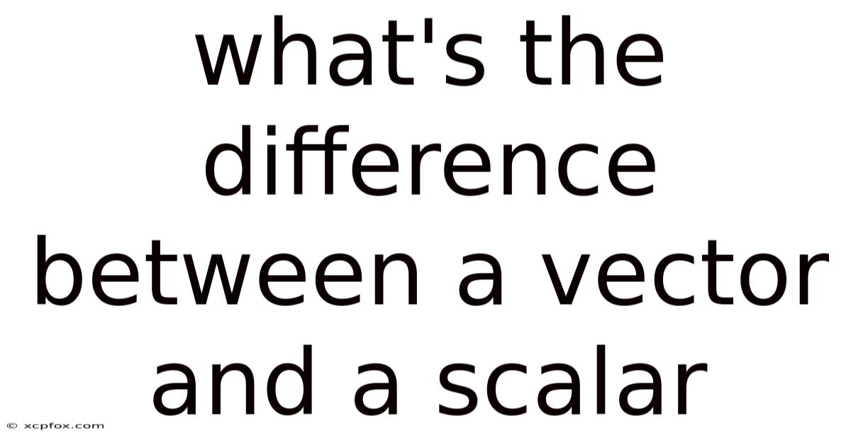 What's The Difference Between A Vector And A Scalar