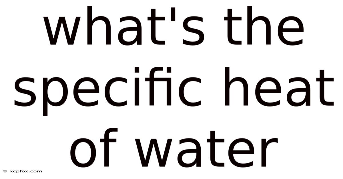 What's The Specific Heat Of Water