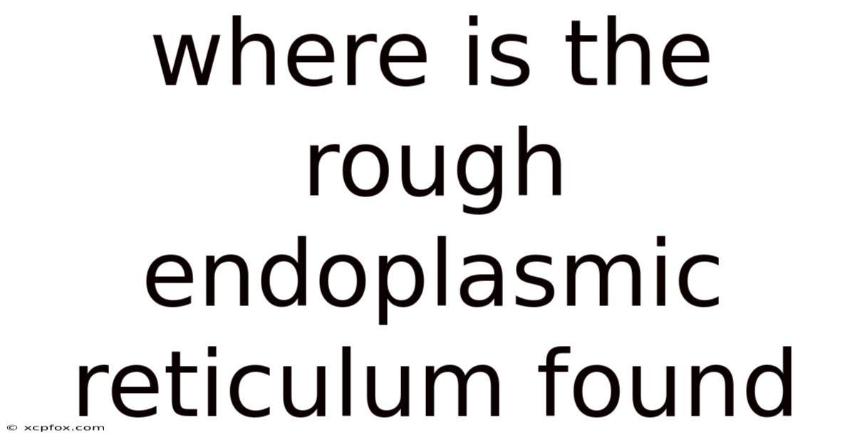 Where Is The Rough Endoplasmic Reticulum Found