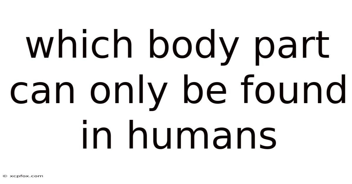 Which Body Part Can Only Be Found In Humans