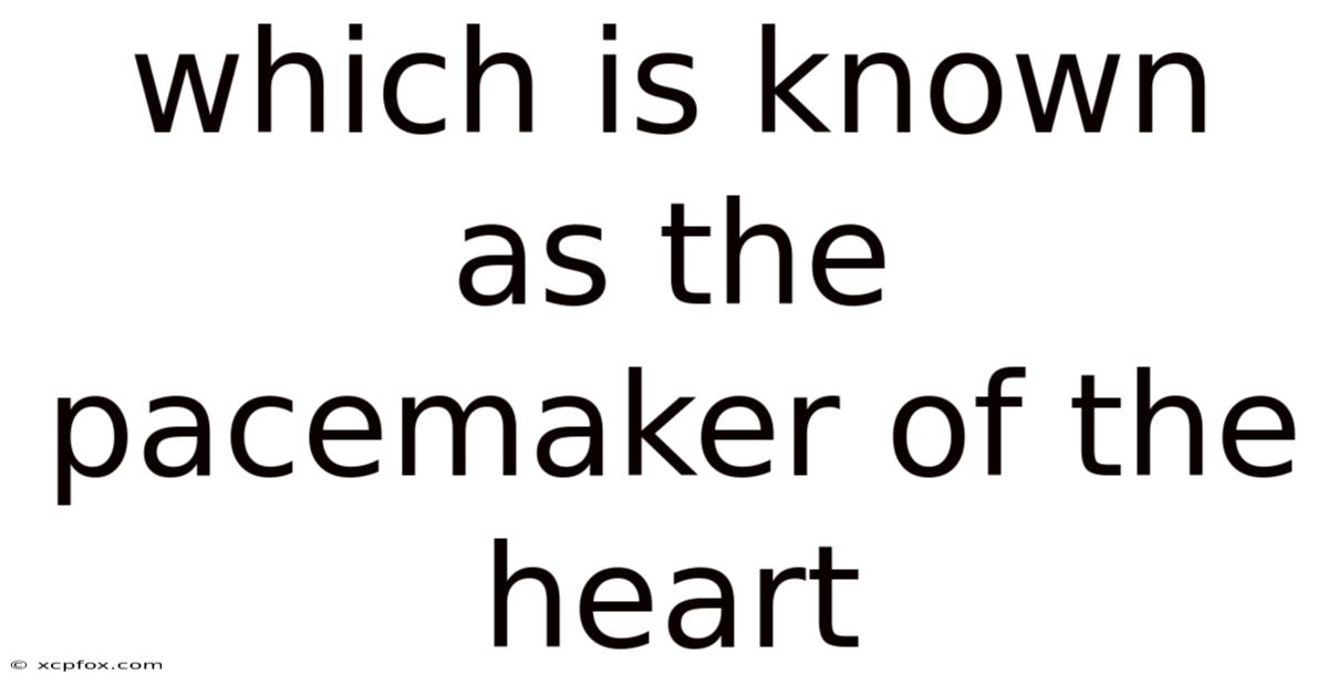 Which Is Known As The Pacemaker Of The Heart