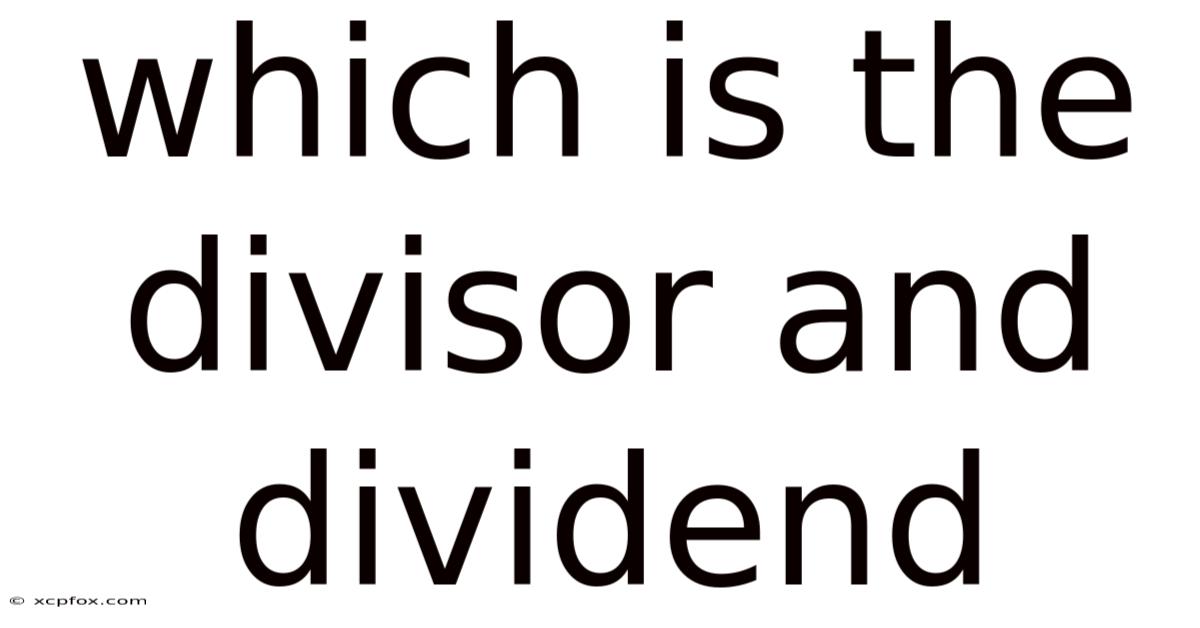 Which Is The Divisor And Dividend