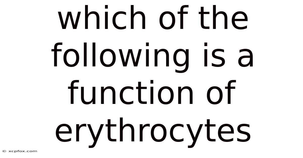 Which Of The Following Is A Function Of Erythrocytes