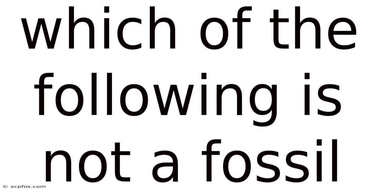 Which Of The Following Is Not A Fossil