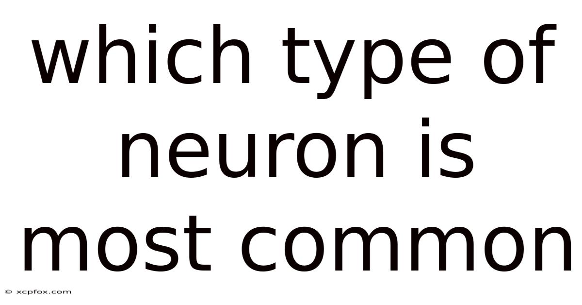 Which Type Of Neuron Is Most Common