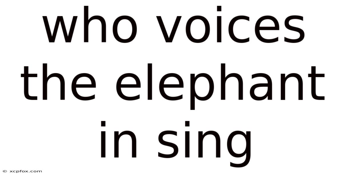 Who Voices The Elephant In Sing