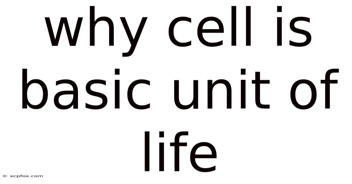 Why Cell Is Basic Unit Of Life