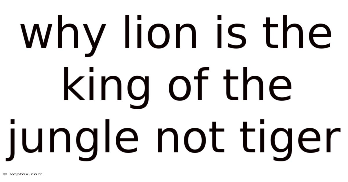 Why Lion Is The King Of The Jungle Not Tiger