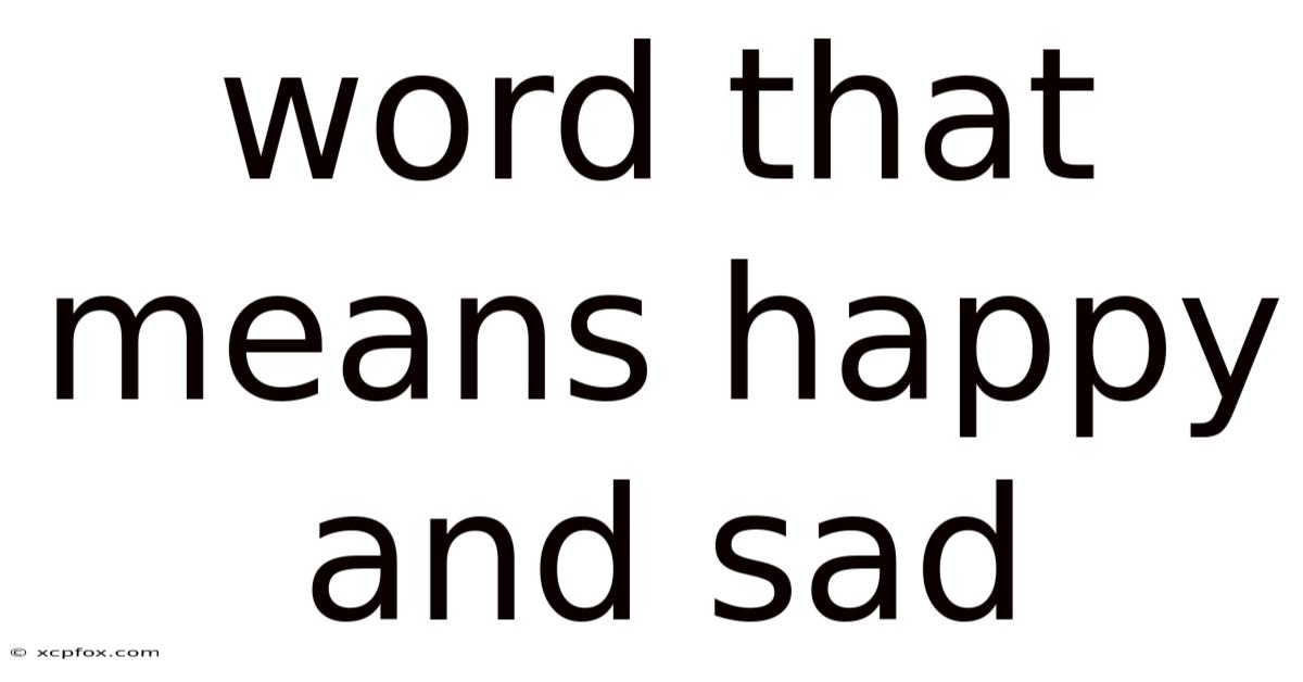 Word That Means Happy And Sad